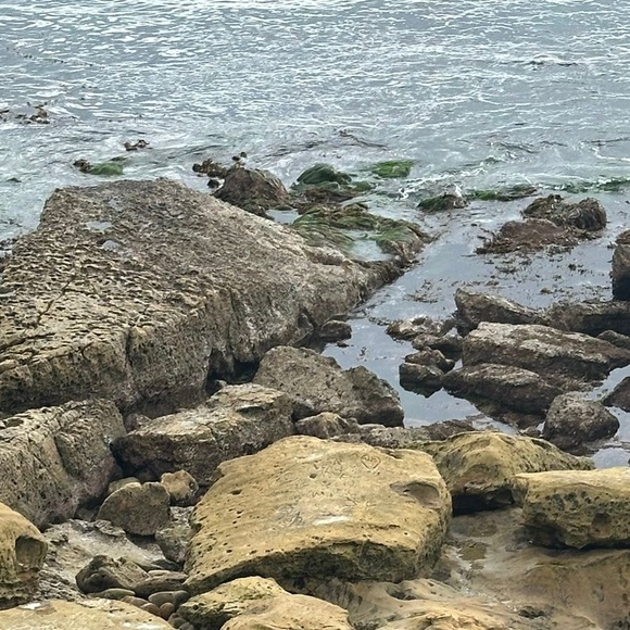 saharlevi